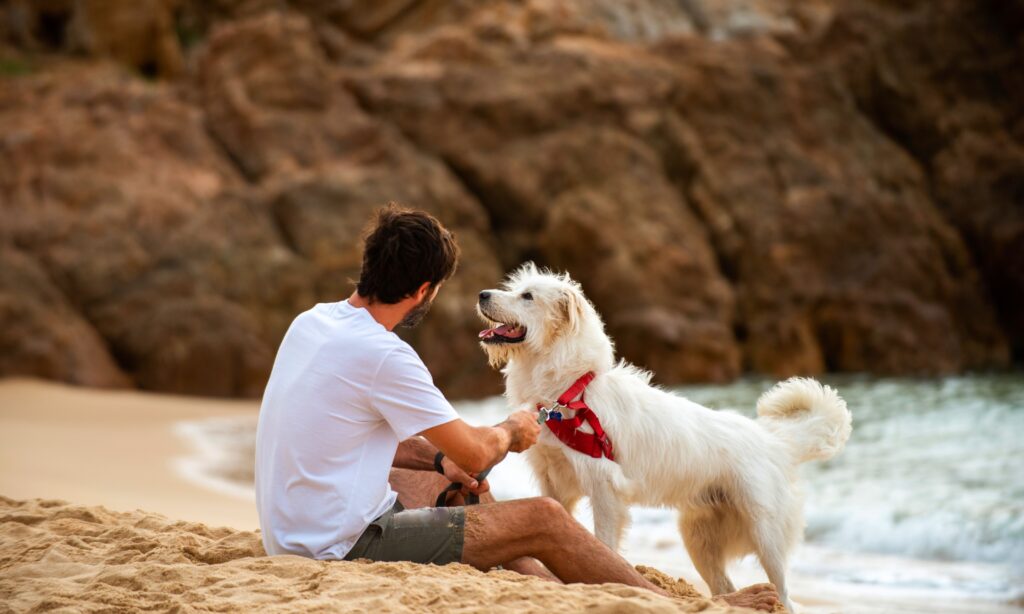 Passeio com cachorro na praia.